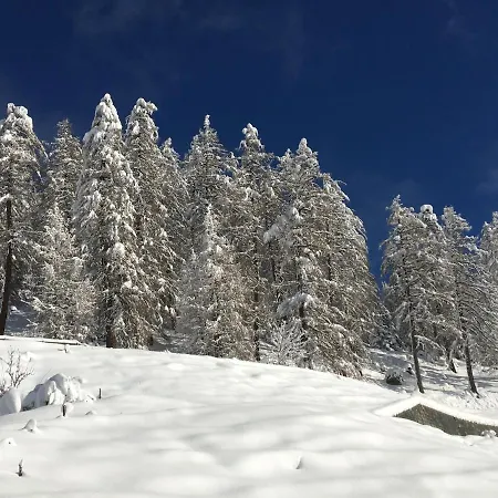 - Lain Apartment Lenzerheide/Lai