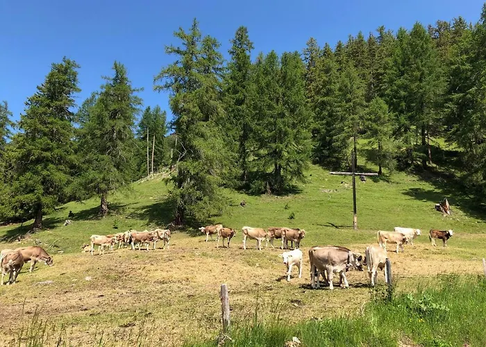 - Lain Appartement *