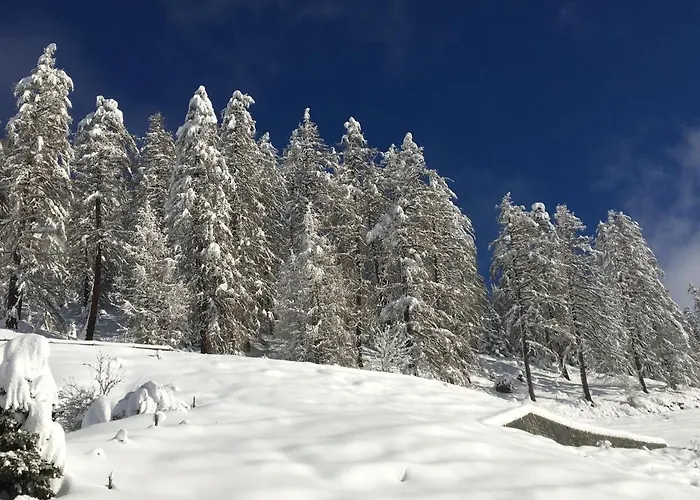 - Lain Appartement Lenzerheide